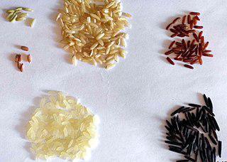 В поваренных книгах объяснят, как из дорогого сделать дешёвое. Фото 2 