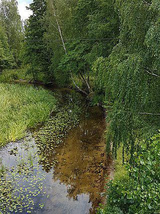  Самая маленькая белорусская река впадает в самое большое белорусское озеро. Фото 3 