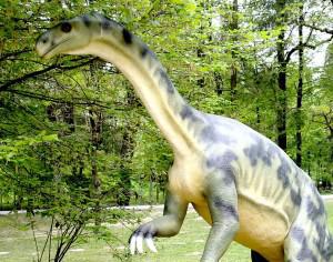 Дед и внук могут принадлежать к совершенно разным биологическим родам. Фото 1 