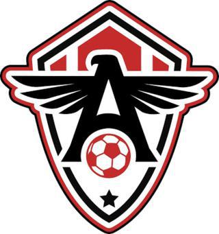 Глава клуба и футболист-спонсор, игравший за сборную России, вывели свой клуб в бразильскую Серию C. Фото 3 