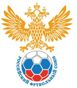 Глава клуба и футболист-спонсор, игравший за сборную России, вывели свой клуб в бразильскую Серию C. Фото 4 