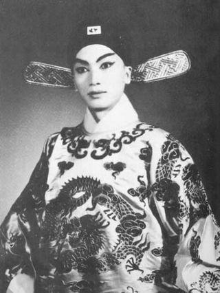 Китайский шпион двадцать лет разыгрывал жену перед французским дипломатом. Фото 2 