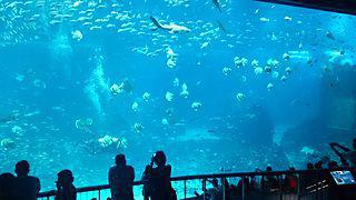 Крупнейший в мире океанариум, насчитывающий около 100 000 морских животных, расположен в очень небольшой стране. Фото 3 
