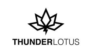 Маленькая канадская студия создаёт видеоигры в духе мультфильмов 20-летней давности. Фото 4 