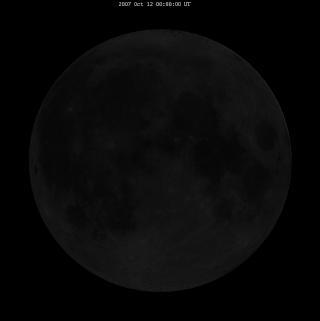 Меню ямайского ресторана в Пруду Аллигатора зависит от фаз Луны. Фото 2 