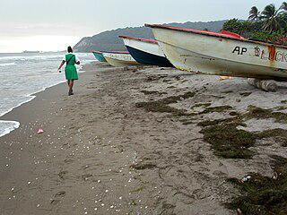Меню ямайского ресторана в Пруду Аллигатора зависит от фаз Луны. Фото 3 