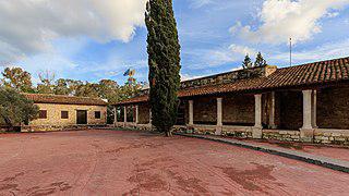 Монахини из «Кошачьего» монастыря просят не привозить им кошек. Фото 1 