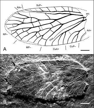 Неизвестно, кому отдать тайную барышню, поэтому сейчас у неё есть только своё семейство. Фото 1 