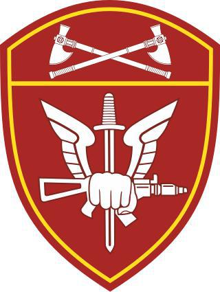 Прообраз нынешнего ОМОНа был создан в Петербурге начальником местной сыскной полиции ещё в начале XX века. Фото 3 