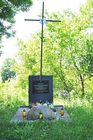 Уйдя от одной авиакатастрофы, можно попасть в другую. Фото 2 