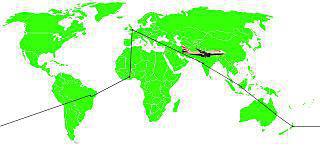 Вокруг света можно облететь за 1800 долларов. Фото 1 
