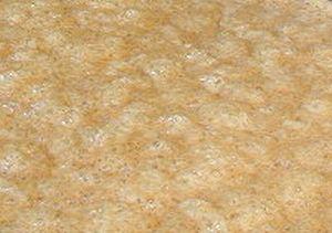 Заквасить «плёвое пиво» — плёвое дело: просто добавь слюны! Фото 1 