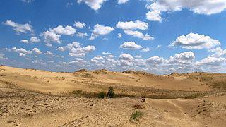 Алешковские пески, расположенные на юге Украины, являются самой крупной пустыней в Европе (точнее — песчаным массивом). Фото 1 