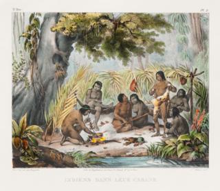 Бразильские индейцы используют в обрядах инициации ядовитых муравьёв. Фото 1 