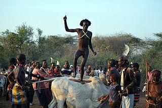 Бразильские индейцы используют в обрядах инициации ядовитых муравьёв. Фото 2 