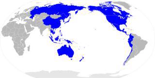 Букит привлекает любителей морского отдыха, красавиц мира и лидеров АТР. Фото 5 