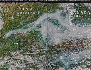 Бывший наркокурьер, став премьер-министром Юкона, принимал законы против наркомании и наркоторговли. Фото 1 