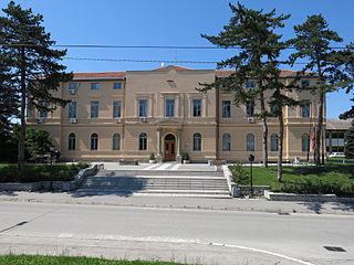 Для гибаницы в Мионице понадобилось три центнера сыра. Фото 3 