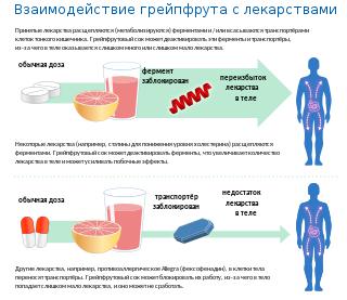 Грейпфрутовый сок не стоит мешать с лекарствами. Фото 2 