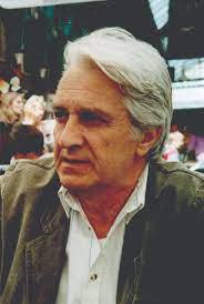 Косовский режиссёр театра и кино выбрал имя для популярной британской певицы. Фото 2 