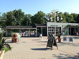 Любитель газировки выиграл слона и отдал его в зоопарк. Фото 2 