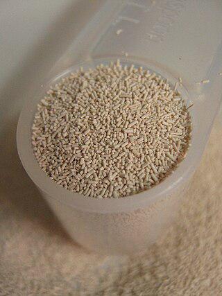 Некоторые сторонники грибной теории заговора считают, что хлебопекарные дрожжи изобретены гитлеровцами для уничтожения русского народа. Фото 2 