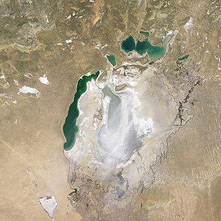 Пестициды с бывшего дна Аральского моря были найдены в крови пингвинов Антарктики. Фото 3 