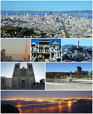 Расширение Сан-Франциско привело к вымиранию одного вида бабочек. Фото 1 