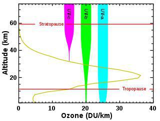 Рассказывать детям об озоновом слое специалистам НАСА помогал покемон. Фото 1 