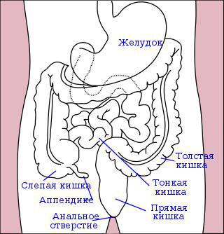 Северогерманский союз печатал некоторые свои марки на «золотобитном покрытии», сделанном из оболочки кишки крупного рогатого скота. Фото 3 