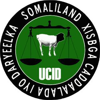 Сомалилендскую социально-демократическую партию основал гражданин Финляндии. Фото 1 