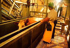 Там, где прежде совершались массовые убийства, ныне принимаются решения по поддержанию мира на всей планете. Фото 1 