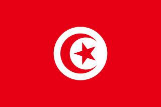 Царские врата первого православного храма в истории Туниса завешены Андреевским флагом. Фото 4 