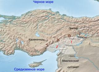 Туркменский бей почти всю жизнь воевал с каирскими мамлюками. Фото 1 