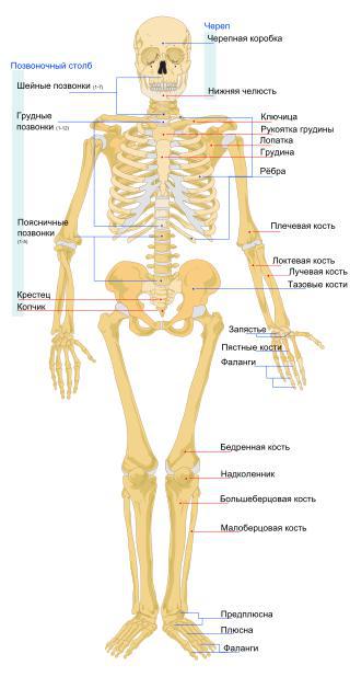 «У чёрта на куличках» в 1990-е годы были найдены человеческие кости. Фото 1 