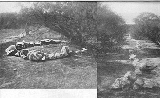 Возможно, загадочное кольцо камней на австралийском побережье было создано пережившими кораблекрушение. Фото 2 