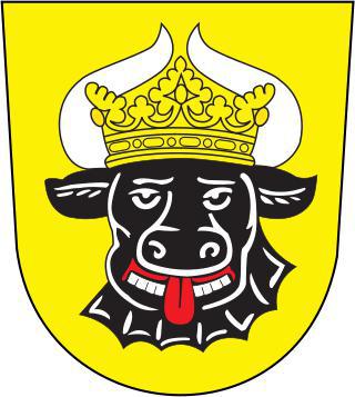 Вятский пехотный полк дислоцировался в Восточной Германии триста лет назад. Фото 1 