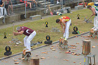 Женщины участвуют в международных соревнованиях по валке леса с 2015 года. Фото 1 