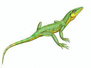 Более двухсот миллионов лет назад на территории нынешней России жила двуногая ящерица. Фото 2 