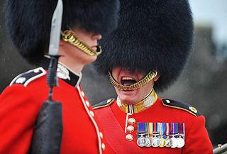 Болельщики и военные привлекают к себе внимание тем же способом, что и новорождённые. Фото 1 