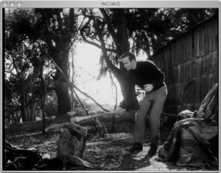 Для создания атмосферы таинственности фильм «Инкуб» целиком снят на языке эсперанто. Фото 2 