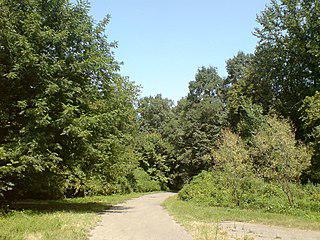 Из-за животных в клетках ботанический сад в Ташкенте потерял 25 гектаров земли, а из-за влюблённых парочек благоустраивается с потерей дендрофлоры. Фото 5 