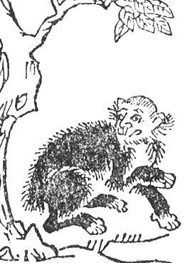 Мифическое существо, приготовленное на пару́, пригодно в пищу. Фото 3 