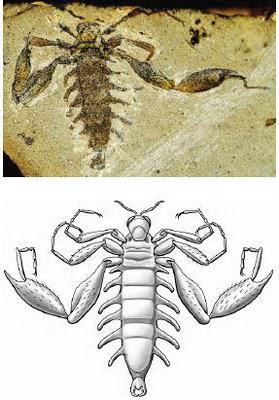 Невероятные страшилы летали на крыльях птерозавров. Фото 2 