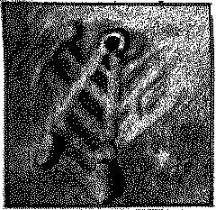 Один баварский барон наблюдал спутники Венеры и открыл город на Луне. Фото 3 