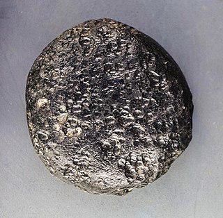 Один тасманит упал с неба, другой — лежит в земле и даёт нефть, а третий — материал для ювелиров. Фото 2 