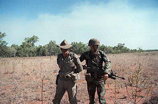 Однажды военные разведчики привели с задания 74 языка. Фото 1 