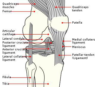 От знаменитого колосса Константина Великого остались голова, коленные чашечки и две правые руки. Фото 3 