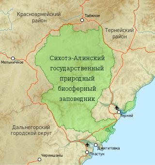 Тигрица  из Сихотэ-Алинского заповедника носит имя-отчество первой матери-героини СССР. Фото 1 