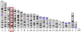 У каждого двадцатого человека уровень антиоксидантного фермента SOD3 в крови повышен в 10 раз. Фото 2 